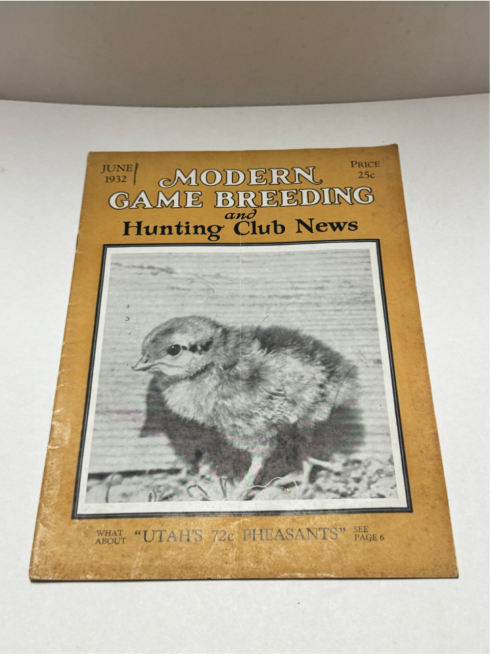 1932 Vintage Modern Game Breeding and Hunting Club News Magazine Pheasants